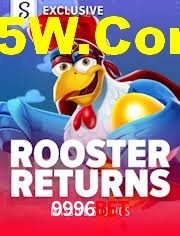 Crash Games Statistics 9996bet